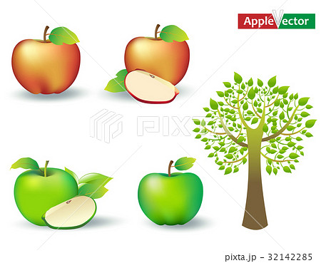 Apples and Apple tree 32142285