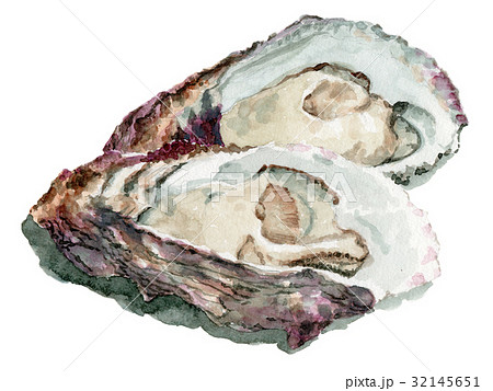 ラブリー牡蠣 絵 花の画像