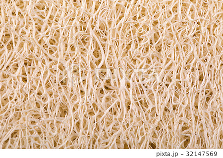 loofah body scrub texture for background. loofah body scrub texture for background. 32147569