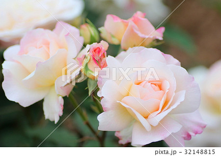 グルス・アン・アーヘン グルス・アン・アーヘン 32148815