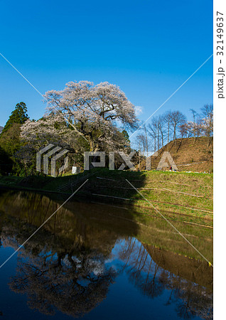 小奴可の要害桜3 小奴可の要害桜3 32149637