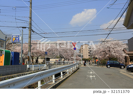 Kyoto, Japan at Philosopher's Walk  32151370