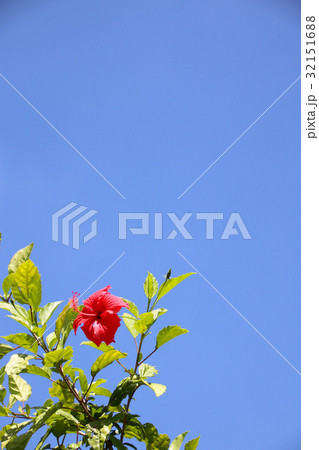 背景 バックグラウンド バックグランド 32151688