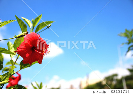 背景 バックグラウンド バックグランド 32151712