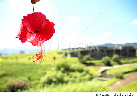 背景 バックグラウンド バックグランド 32151726