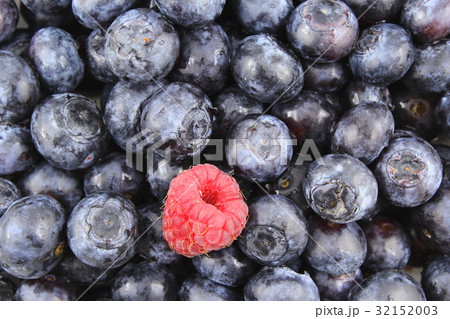 fresh blueberry fruits and a red raspberry closeup fresh blueberry fruits and a red raspberry closeup 32152003