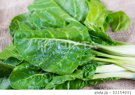 Bunch of Swiss chard 32154031