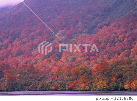 栗駒山の紅葉 栗駒山の紅葉 32156586