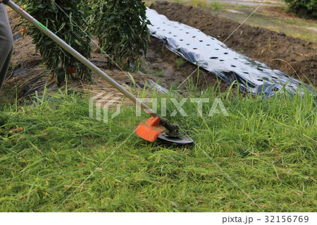 草刈り作業 32156769