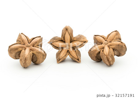 サチャインチナッツ：Sacha Inchi Nut 32157191