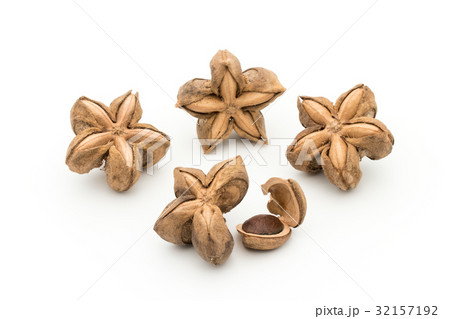 サチャインチナッツ：Sacha Inchi Nut 32157192