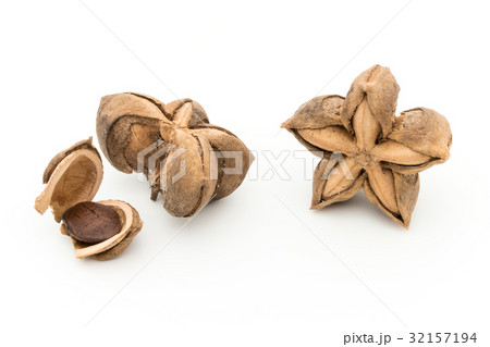 サチャインチナッツ：Sacha Inchi Nut 32157194