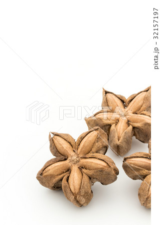 サチャインチナッツ：Sacha Inchi Nut 32157197