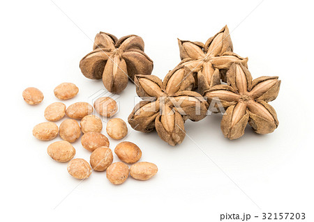 サチャインチナッツ：Sacha Inchi Nut 32157203