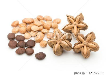 サチャインチナッツ：Sacha Inchi Nut 32157209