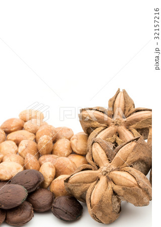 サチャインチナッツ：Sacha Inchi Nut 32157216