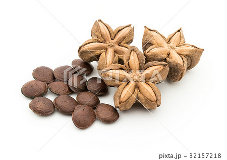 サチャインチナッツ:Sacha Inchi Nut サチャインチナッツ:Sacha Inchi Nut 32157218