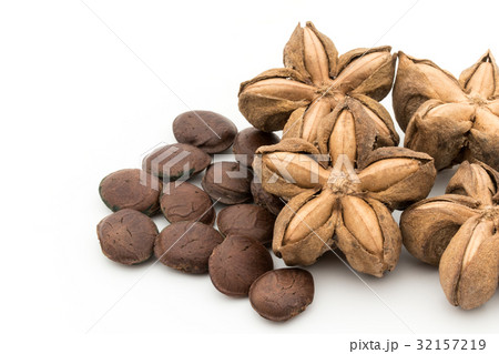 サチャインチナッツ：Sacha Inchi Nut 32157219