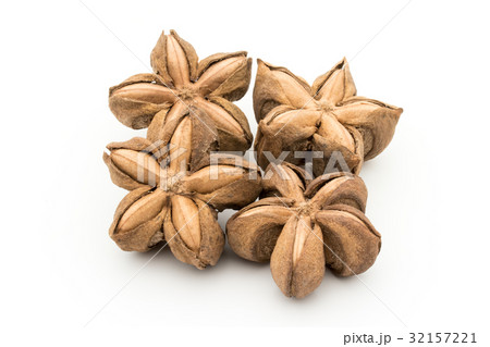 サチャインチナッツ：Sacha Inchi Nut 32157221