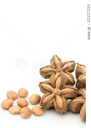 サチャインチナッツ：Sacha Inchi Nut 32157224