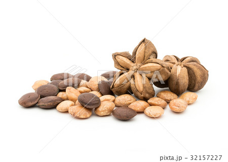 サチャインチナッツ：Sacha Inchi Nut 32157227