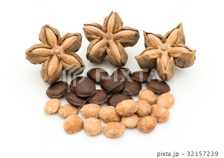 サチャインチナッツ：Sacha Inchi Nut 32157239
