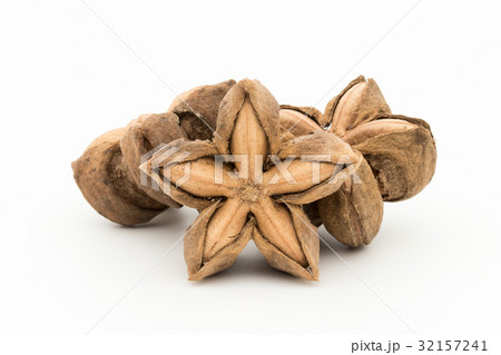 サチャインチナッツ：Sacha Inchi Nut 32157241