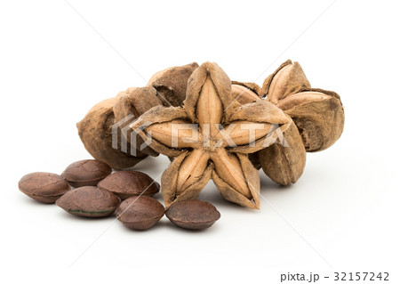 サチャインチナッツ：Sacha Inchi Nut 32157242