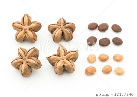 サチャインチナッツ：Sacha Inchi Nut 32157246