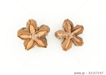 サチャインチナッツ：Sacha Inchi Nut 32157247