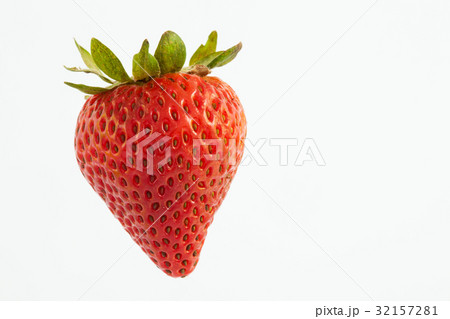 Strawberry (Fragaria ananassa) isolated 32157281