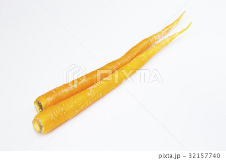 島にんじん 島にんじん 32157740