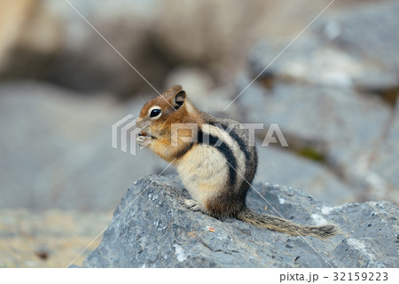 Banff National Park 32159223
