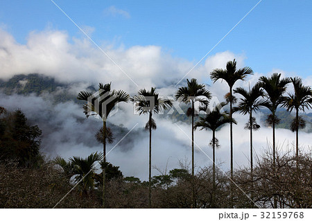 Central Taiwan 32159768