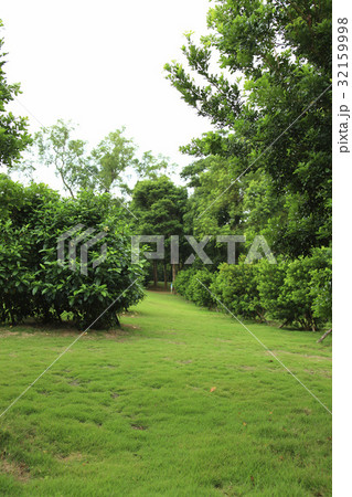 The Scenery The Scenery 32159998