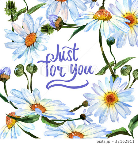 Wildflower daisy flower in frame a watercolor Wildflower daisy flower in frame a watercolor 32162911