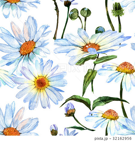 Wildflower Daisy Flower Pattern In A Watercolorのイラスト素材