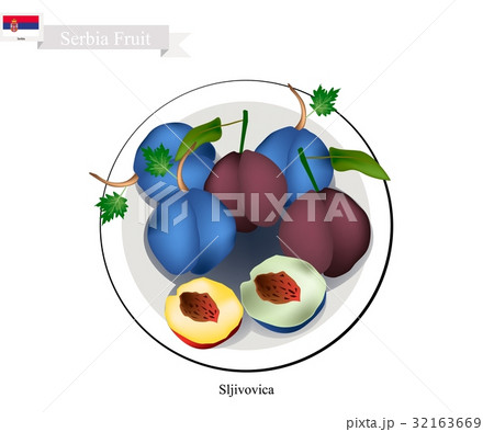 Plum, One of The Most Popular Fruit in Serbia Plum, One of The Most Popular Fruit in Serbia 32163669