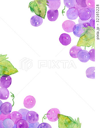 水彩フレーム 葡萄 ぶどうのイラスト素材
