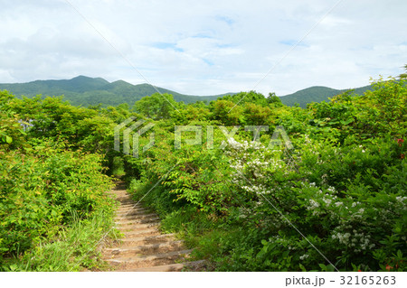 雄国沼への歩道 32165263