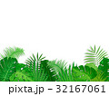 ボタニカル 熱帯植物 フレーム 葉っぱ(透過) ボタニカル 熱帯植物 フレーム 葉っぱ(透過) 32167061