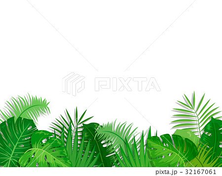ボタニカル 熱帯植物 フレーム 葉っぱ 透過 のイラスト素材