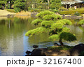 日本庭園　松と池の風景 32167400