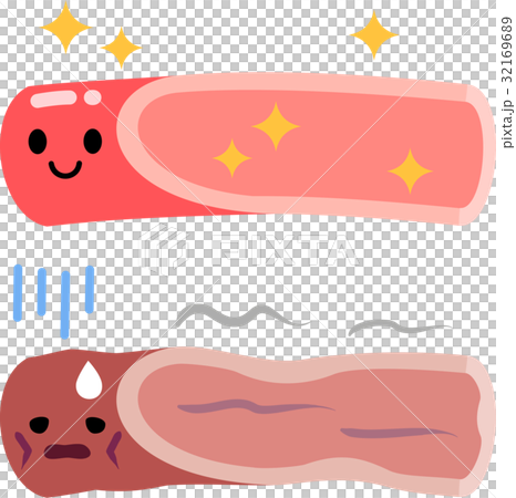 健康的血管和老年血管 32169689