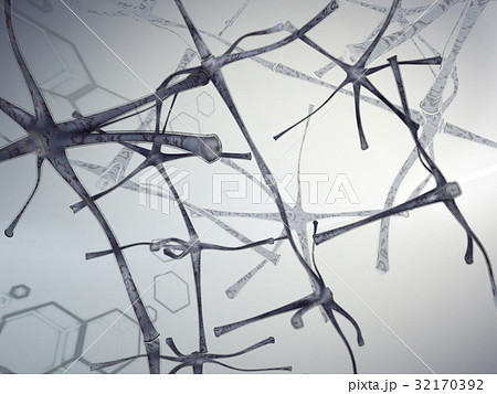 Nerve cell Nerve cell 32170392