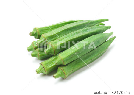 オクラ 32170517