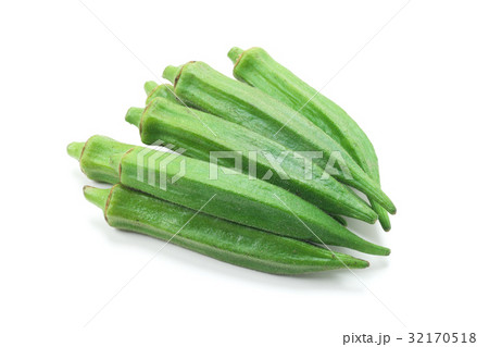 オクラ 32170518