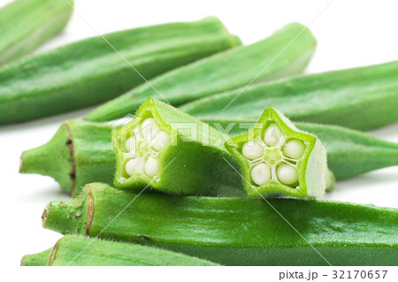 オクラ オクラ 32170657