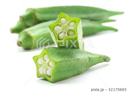 オクラ 32170665