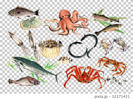 Seafood set Seafood set 32171431